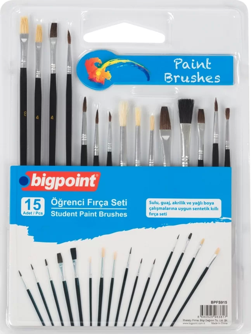 Öğrenci Fırça Seti 15'li Blister