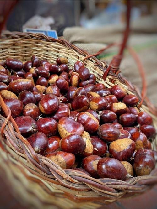 Simav Kestanesi Duble Boy (1000 gr.) - 2024 Hasat (M.Sarıaltın Harici Mağazalara Itibar Etmeyiniz)