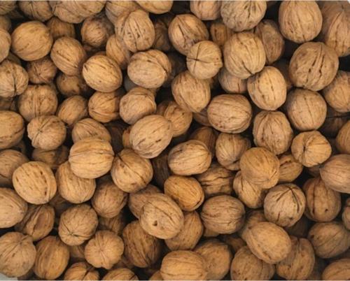 Ince Kabuklu Ceviz 1 kg.