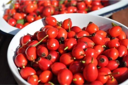 Taze Kuşburnu 1000 gr.