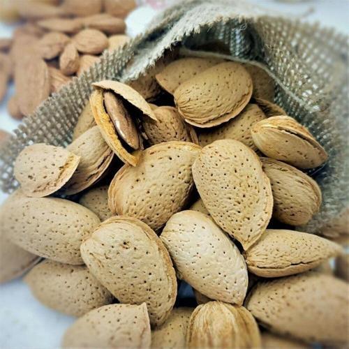 Badem Kabuklu Normal Kabuk