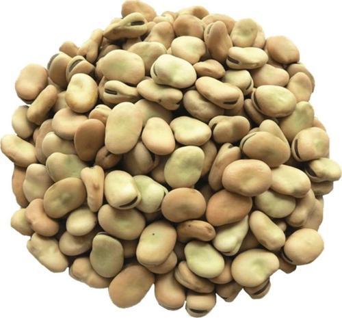Kuru Kabuklu Bakla Tane 1 kg