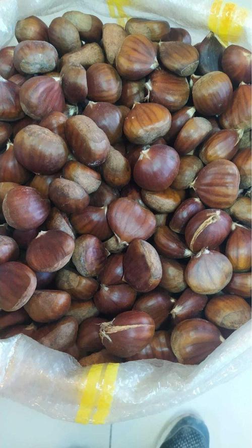 Kestane 1 kg