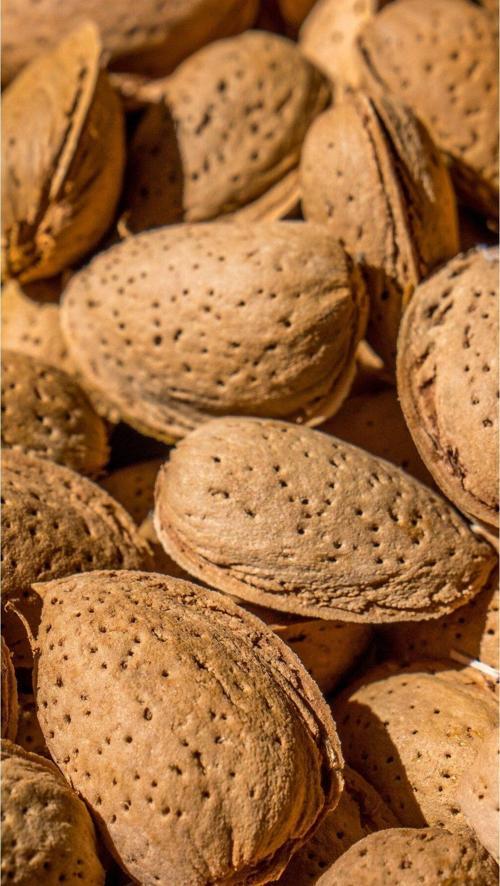 Doğal Ve Besleyici Kabuklu Badem - Sağlıklı Atıştırmalık 500 gr.