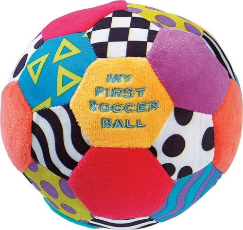 Playgro Top Renkli