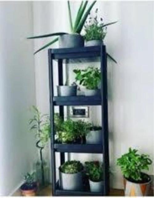 Shelf Unit Raf Ünitesi