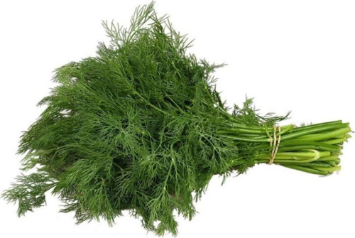 Dere Otu Tohumu 10 Gr