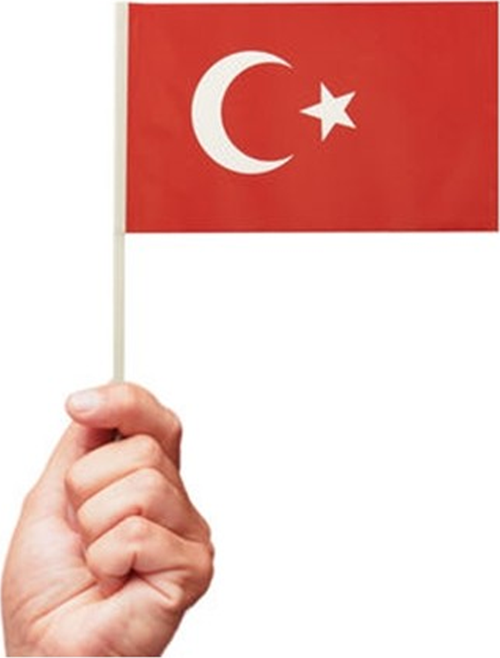 Battal Çıtalı Bayrak Ay Yıldız 40'Lı