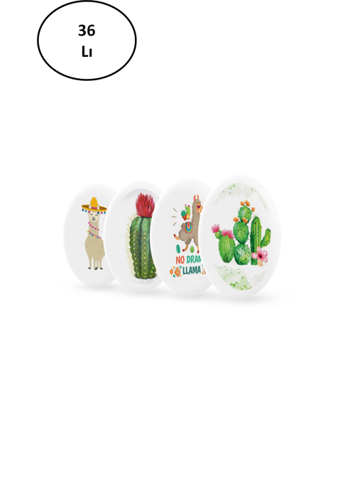 Silgi Lama-Cactus Serisi Sg.22 36'Lı