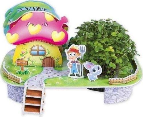 Mushroom House