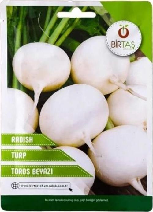 Beyaz Turp Tohumu