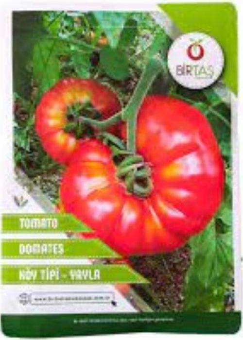 Köy Domatesi Tohumu - Yayla Tipi