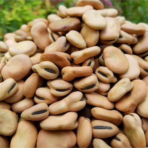 Kuru Bakla 5 Kg