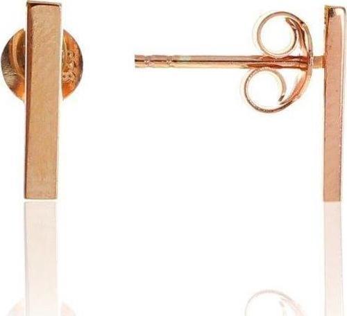 Mini çubuk Küpe 