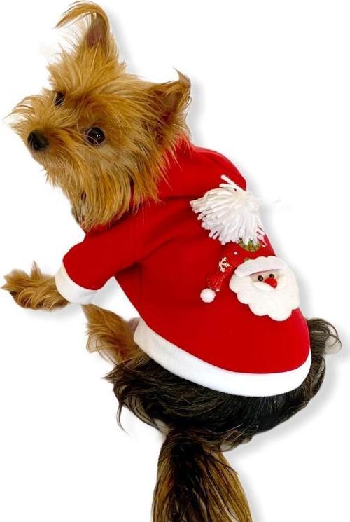 Santa Neo Kapşonlu Polar Noel Yılbaşı Köpek Kıyafeti