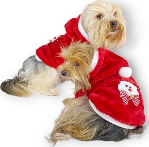 Santa Time Yılbaşı Köpek Sweatshirt, Noel Sweatshirt gold