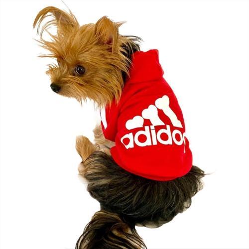 Kırmızı Adidog Kapşonlu Köpek Sweatshirt Köpek Kazağı