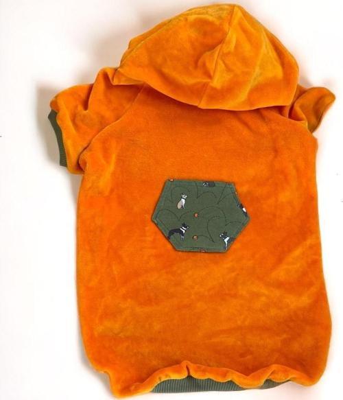 Green Dog Pocket Turuncu Kapşonlu Sweatshirt Köpek Kıyafeti Köpek Elbisesi 