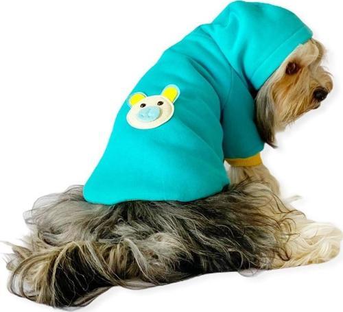 Blue Bear Kapşonlu Köpek  Sweat by Kemique 