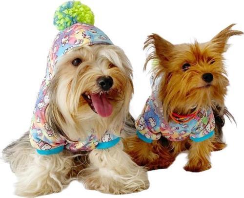 Kitty Kapşonlu Sweat by Kemique Köpek Kazağı 