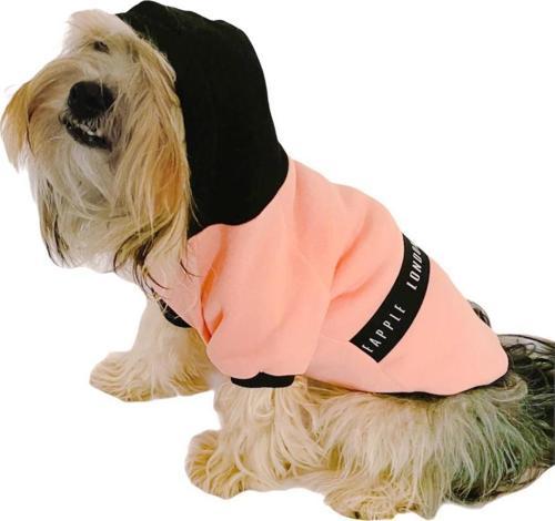 London Pineapple Kapşonlu Sweat by Kemique Köpek Kazağı 