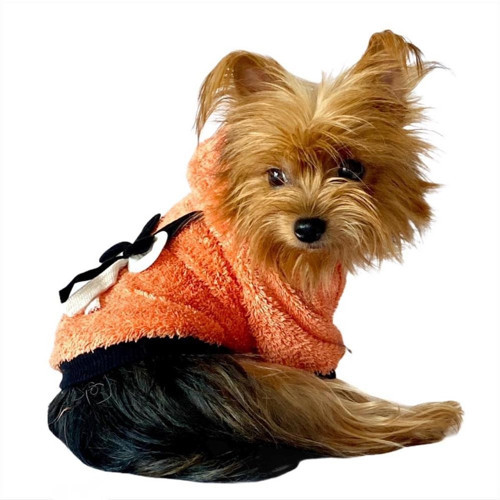 Orange Black Bunny Kapşonlu Sweat by Kemique Köpek Kazağı