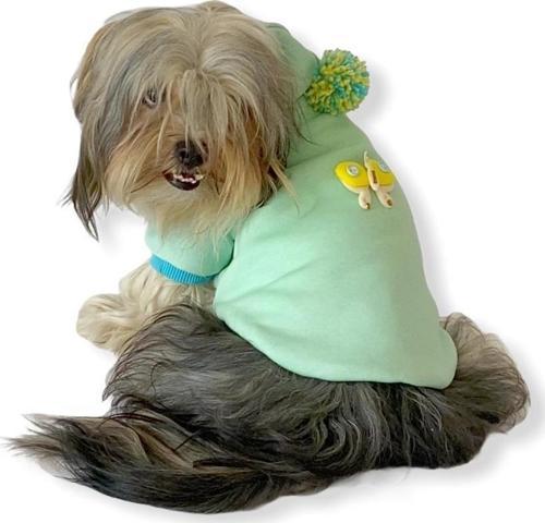 Su Yeşili Kelebek Kapşonlu Sweat by Kemique Köpek Kazağı 