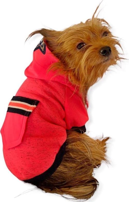 Pink Stars Kapşonlu Sweatshirt Köpek Kıyafeti 
