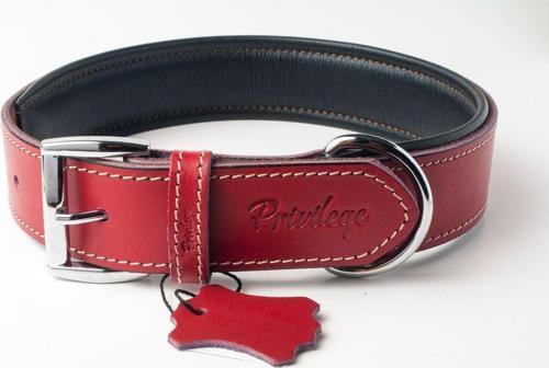 Hakiki Deri Köpek Boyun Tasması L Kırmızı 3X47-56 Cm