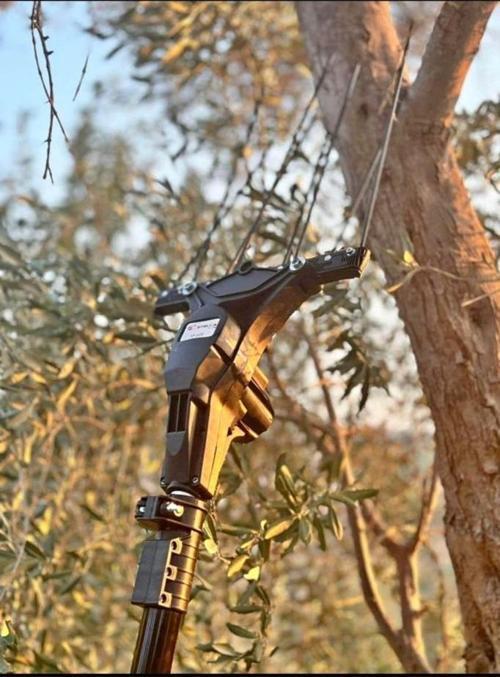 Sp-600 Devir Ayarlı Akülü Zeytin Silkme Hasat Makinesi 2024 Yeni Dizayn
