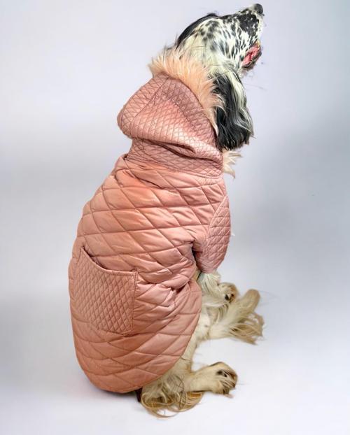 Pink Comfly Köpek Montu, Orta ve Büyük Irklar için