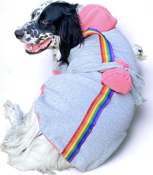 Pocket Rainbow Sweatshirt Orta ve Büyük Irklar İçin