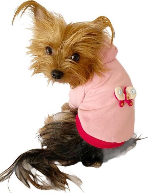 Pembe Kelebek Kapşonlu Sweat by Kemique Köpek Kazağı 