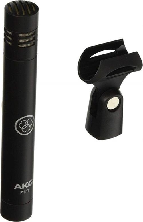P170 Small-Diaphragm Condenser Microphone