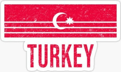 1 Türkiye Bayrak Sticker Oto Etiket Araba Yapıştırma 17cm