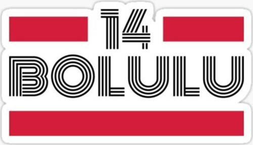14 Bolulu Plaka Araba Sticker Yapıştırması
