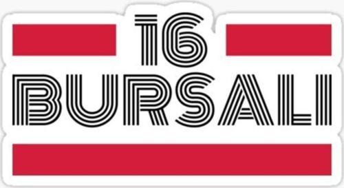 16 Bursalı Plaka Araba Sticker Yapıştırması