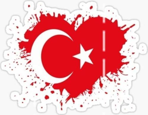 16cm Bayrak Yapıştırma Etiket Araba Cam Md6