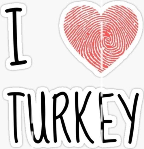 16cm I Love Turkey Yapıştırma Etiket Araba Cam Md4