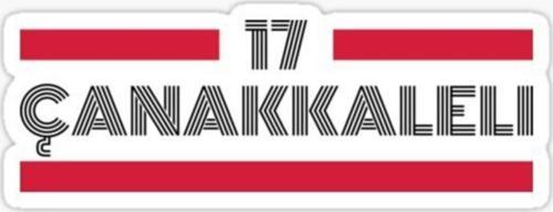17 Çanakkaleli Plaka Araba Sticker Yapıştırması