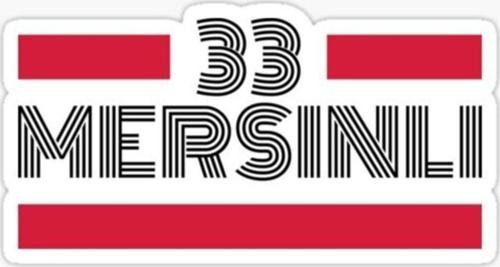 33 Mersinli Plaka Araba Sticker Yapıştırması
