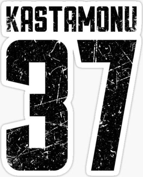 37 KASTAMONU Sticker Yapıştırma Oto Etiket 17cm