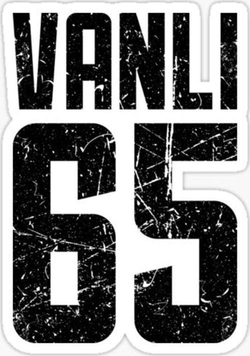 65 VAN Sticker Yapıştırma Oto Etiket 17cm