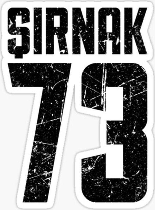 73 ŞIRNAK Sticker Yapıştırma Oto Etiket 17cm