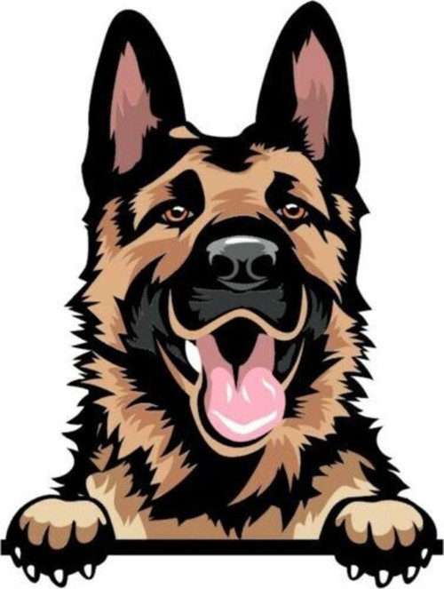 Alman Çoban Köpeği Araba Sticker Etiket 17cm