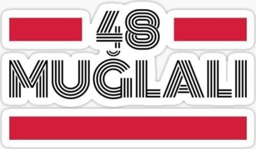 48 Muğlalı Plaka Araba Sticker Yapıştırması