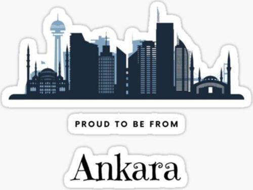 Ankara Araba Oto Sticker Yapıştırması 20 cm En