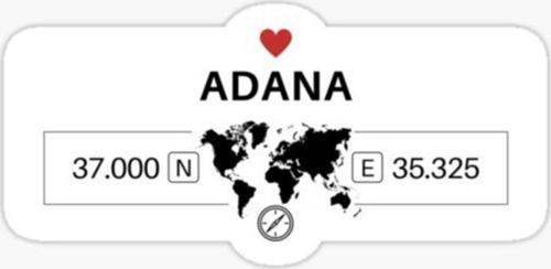 Adana 2 Gps Harita Sticker Oto Araba Yapıştırma 17cm