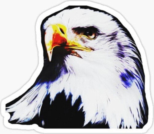 Araba Için Kartal Oto Sticker Yapıştırması Etiket 17cm R6