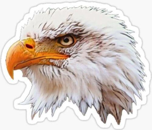 Araba Için Kartal Oto Sticker Yapıştırması Etiket 17cm R7